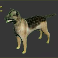 German Shepherd Dog With Brown And Black Fur Standing In Studio Lighting