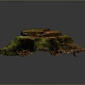 Detailed Natural Terrain With Moss Covered Stump Fallen Leaves And Organic Texture