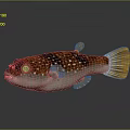 Vibrant Pufferfish With Smooth Reddish Brown Body White Spots And Yellow Fins Tail