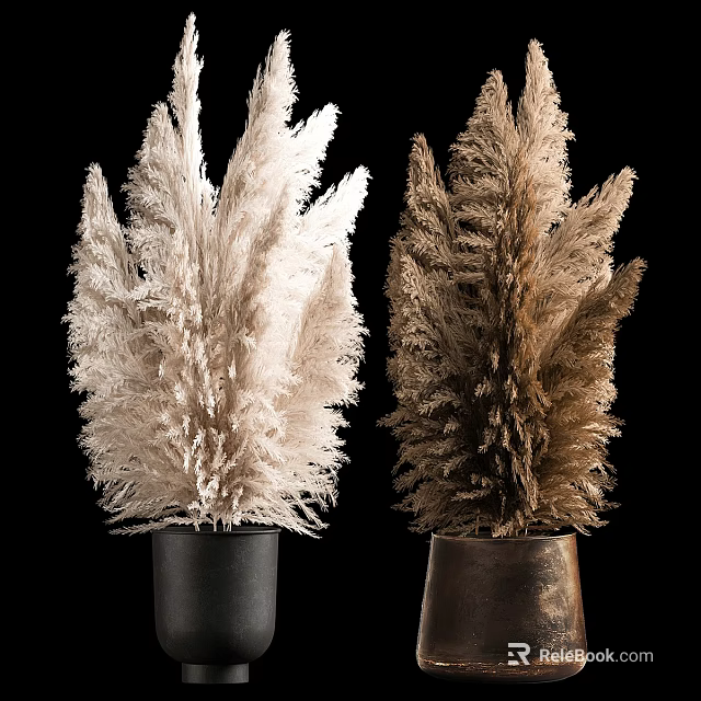 White and Brown Pampas Grass in Black and Copper Vases for Modern Home Decor 3d model 