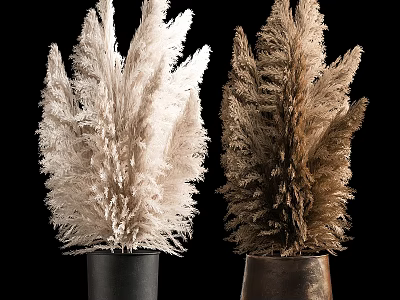 White and Brown Pampas Grass in Black and Copper Vases for Modern Home Decor 3d model