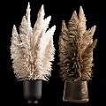 White and Brown Pampas Grass in Black and Copper Vases for Modern Home Decor