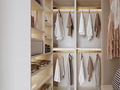 Modern Minimalist Walk in Closet Interior With Hanging Clothes Shelves And Lighting 3d model