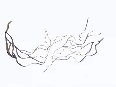 Modern Abstract Decorative Ornament Set with Flowing Lines for Home Decoration 3d model