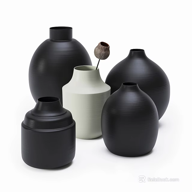 Black and White Ceramic Vases in Various Sizes with Dried Flower 3d model 