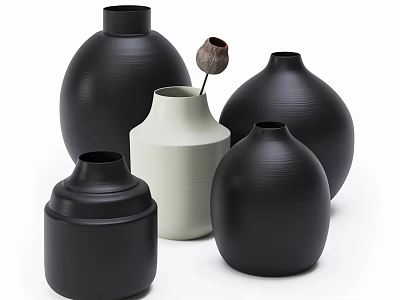Black and White Ceramic Vases in Various Sizes with Dried Flower 3d model