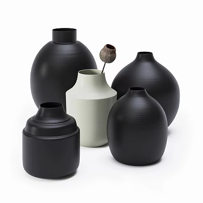 Black and White Ceramic Vases in Various Sizes with Dried Flower 3d model