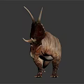 Realistic Triceratops Dinosaur With Reddish Brown Skin Large Horns And Frill