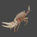 Realistic Brown Crab With Large Claws On Gray Background