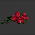 Fresh Plant Branch with Vibrant Red Berries and Lush Green Leaves