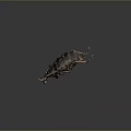 Detailed View Of Black And Brown Striped Beetle With Long Legs On Gray Background