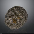 Natural Pine Cone With Detailed Brown Texture On Dark Reflective Background
