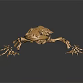 Metallic Detailed Golden Lizard Skeleton on Dark Background with Reflection