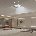 Spacious Fitness Studio With Skylight Yoga Mats Exercise Balls And Plant Decor