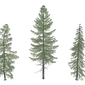 Modern pine combination 3d model