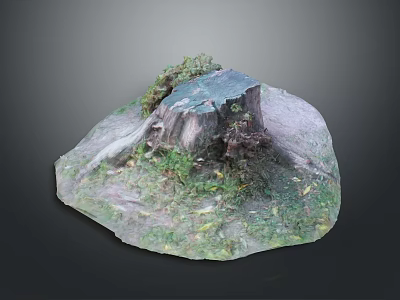 Wooden Stump And Stone Decor In Natural Setting With Green Moss Grass 3d model