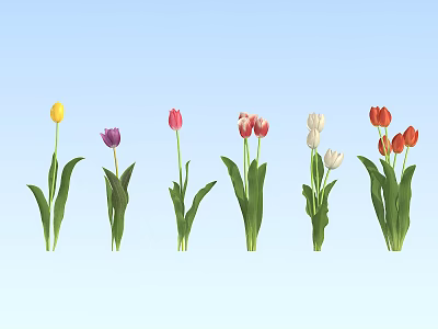 Vibrant Tulips in Multiple Colors with Green Stems Against Light Blue Background 3d model