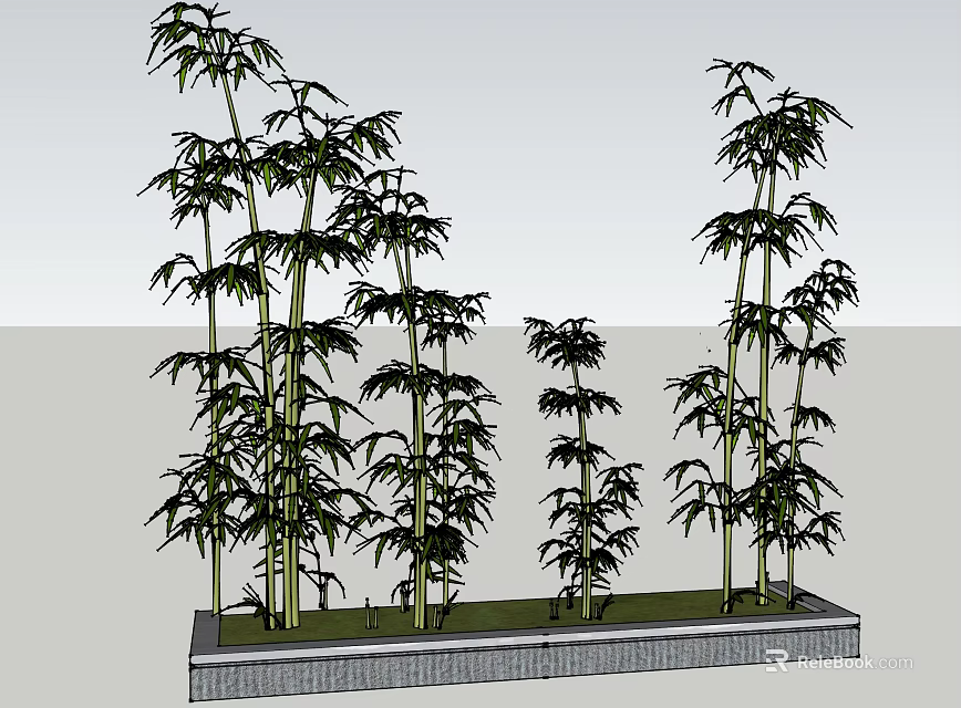 Bamboo Plants of Various Heights in Rectangular Planter with Lush Green Leaves 3d model 