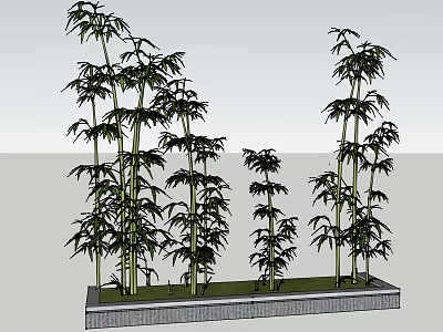 Bamboo Plants of Various Heights in Rectangular Planter with Lush Green Leaves 3d model