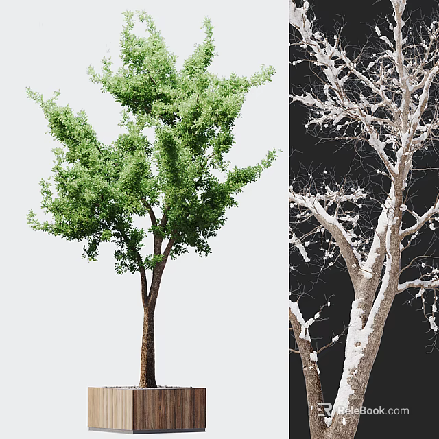 Bonsai Plant With Green Leafy Tree And White Decorative Branches 3d model 