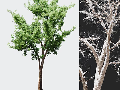 Bonsai Plant With Green Leafy Tree And White Decorative Branches 3d model