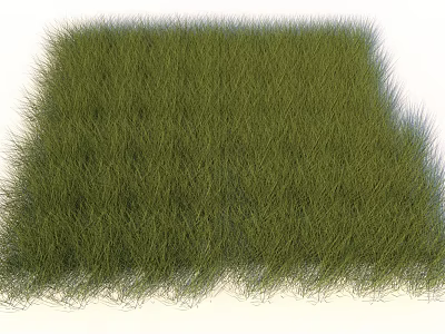 Lush Green Square Shaped Lawn With Uniform Grass And Scattered Edge Strands 3d model