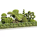 Topiary Shrubs With Multiple Shaped Designs Enhance Garden Landscape Greenery