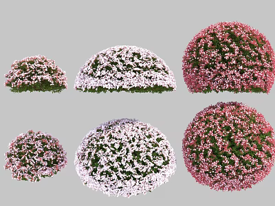 Modern Shrub Flower Shrub 3d model Modern Shrub Flower Shrub 3d model