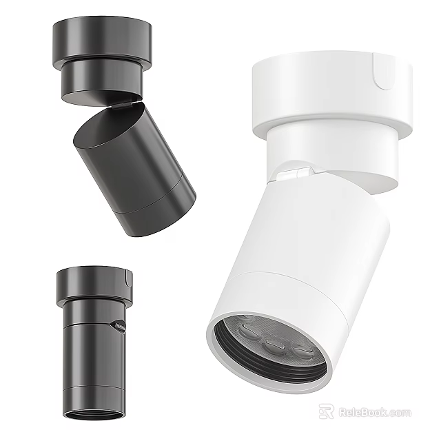 Modern Black and White Downlights Spotlights with Adjustable Direction for Indoor Lighting 3d model 