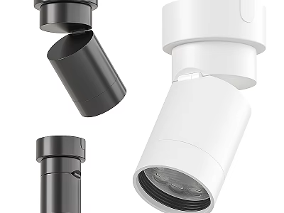Modern Black and White Downlights Spotlights with Adjustable Direction for Indoor Lighting 3d model
