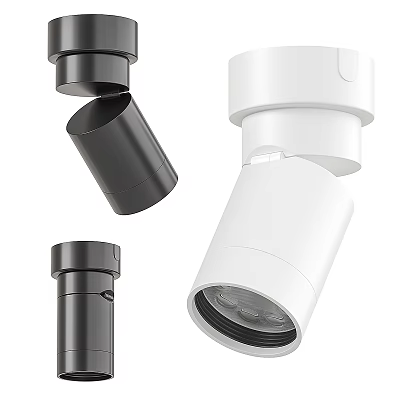 Modern Black and White Downlights Spotlights with Adjustable Direction for Indoor Lighting 3d model