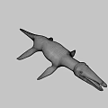 Realistic 3D Shark Model With Open Mouth And Sharp Teeth 3d model