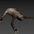 Realistic 3D Sloth Character Model For Game And Movie Animations