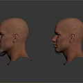 Multiple Male Head Models With Bald Heads And Diverse Facial Features