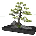 modeling tree modeling loose 3d model