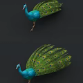 Peacock Open Screen Peacock Animation Peacock Open Screen Animation 3d model