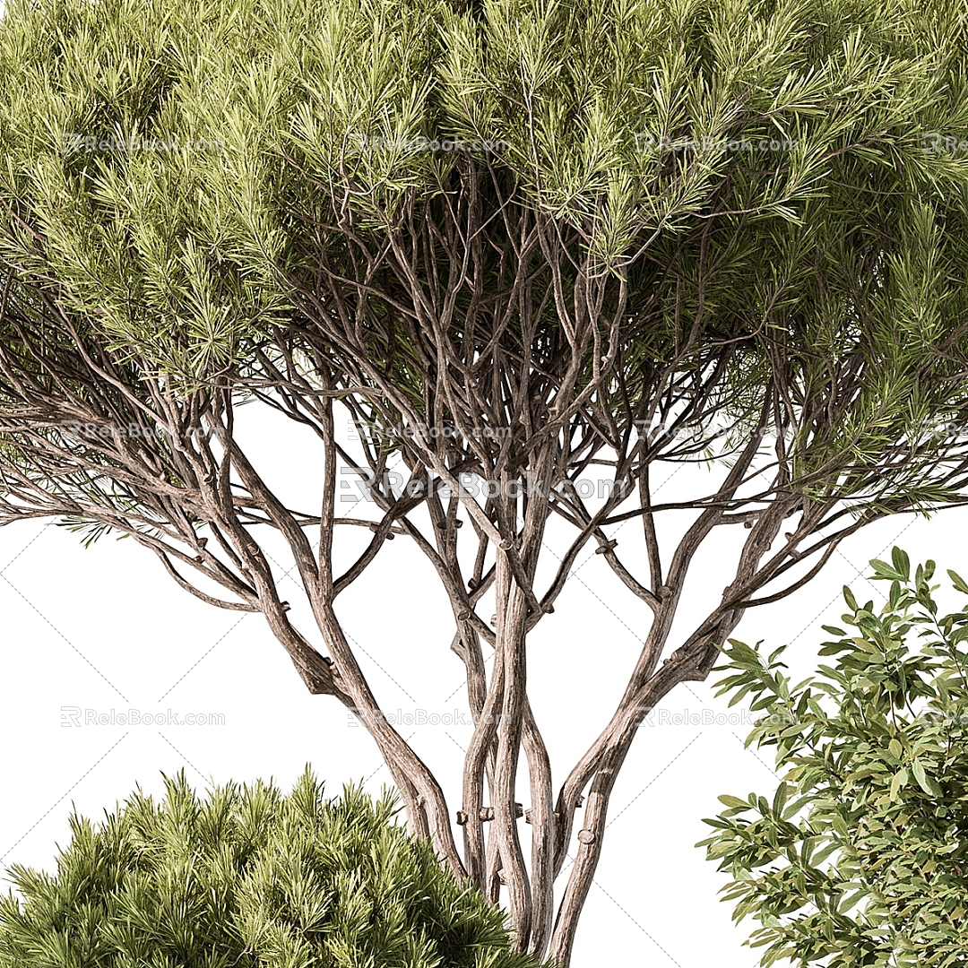 The Modern Tree 3d model