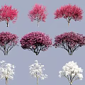 Flowering Little Trees Cascade Begonia Flowers Magnolia Red Jigu 3d model