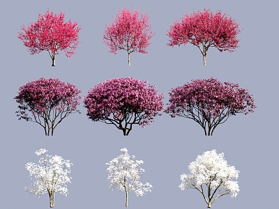 Flowering Little Trees Cascade Begonia Flowers Magnolia Red Jigu 3d model