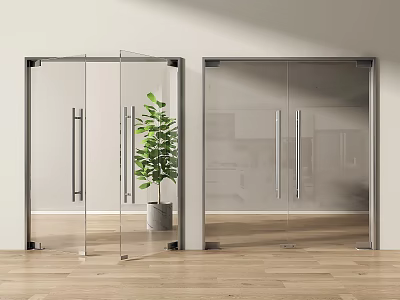 Modern Glass Double Doors Interior Design With Metal Frame Green Plant And Wooden Floor 3d model