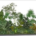 Lush Green Plant Landscape With Various Tropical Foliage And Orange Flowers