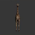 Giraffe in standing pose with long neck and spotted coat on gray gradient background