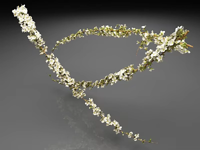 Elegant Curved Flower Branch With White Blossoms On Gray Background 3d model