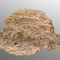 hay small garden hay hay heap hay heap grass weed wheat spike 3d model