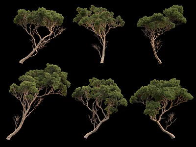 Arbor Trees with Lush Green Foliage and Various Curved Trunks 3d model
