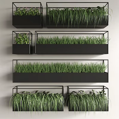 Wall Mounted Potted Plants With Black Metal Containers And Green Grass Arrangement 3d model