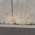 Dried Grasses And White Small Flowers In Gray Rectangular Planter Against Gray Background 3d model