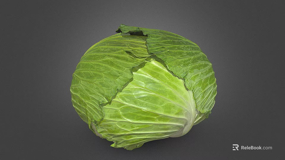 Fresh Green Cabbage Vegetable with Crisp Leafy Texture and Natural Fresh Look 3d model 