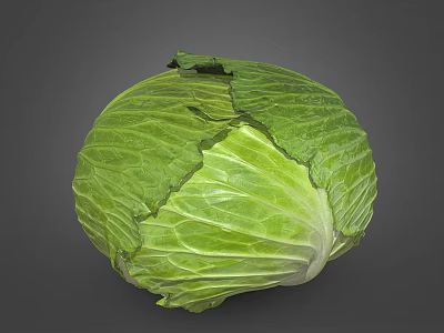 Fresh Green Cabbage Vegetable with Crisp Leafy Texture and Natural Fresh Look 3d model