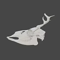 White Deer Skull With Intricate Antler Structure And Detailed Bone Features